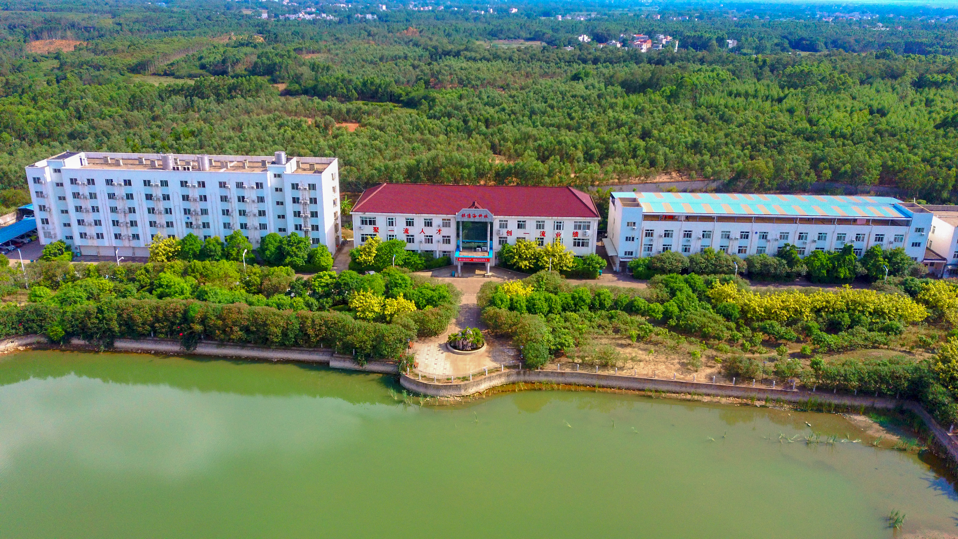 公司動(dòng)態(tài)